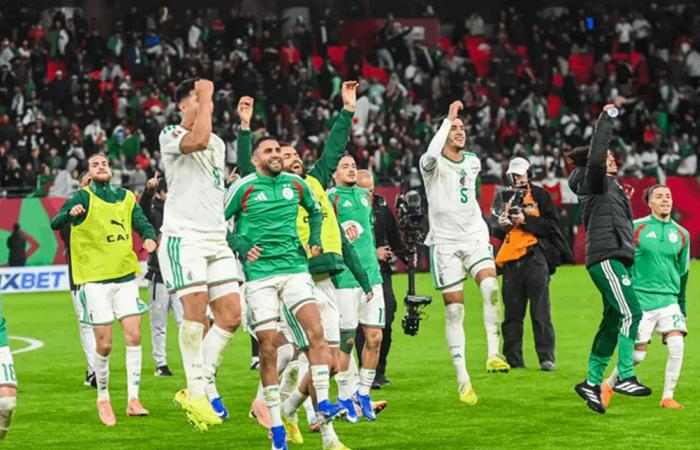من هو منافس الجزائر في ثمن نهائي أمم أفريقيا؟
