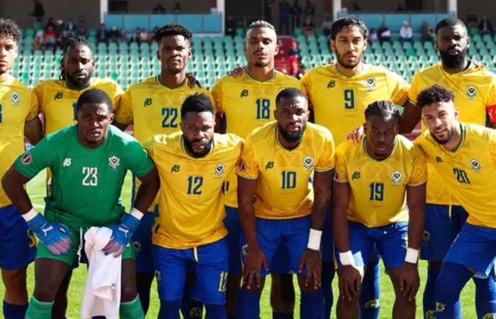 حتى إشعار آخر... كأس أفريقيا تطيح بالجهاز الفني للغابون وتوقف المنتخب