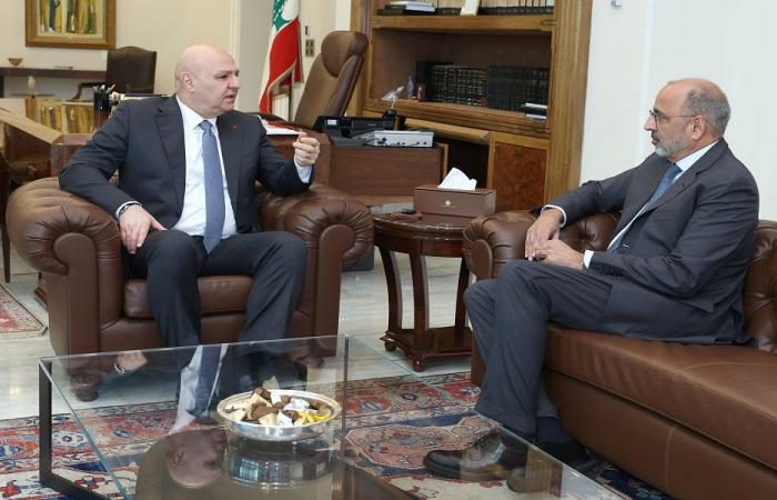 نشاطات الأمم المتحدة في لبنان بين عون وريزا