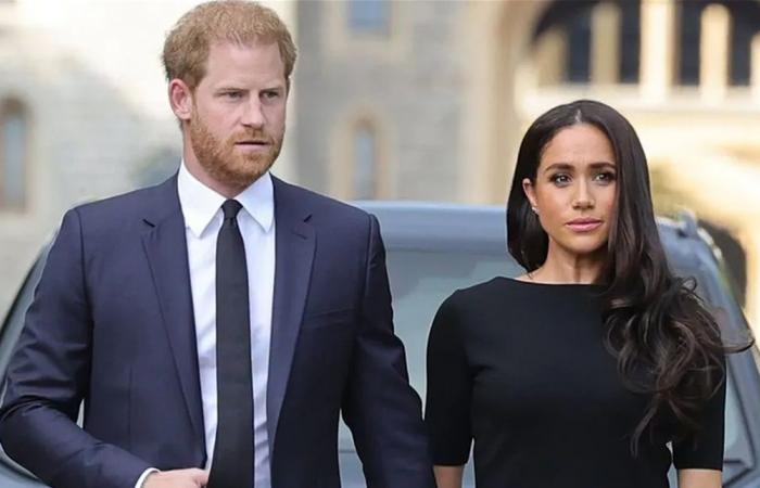 تحذير من الأمير هاري وميغان ماركل من مخاطر الهواتف على الأطفال