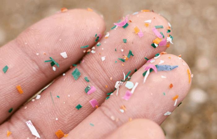 مصادر غير متوقعة للجزيئات البلاستيكية الدقيقة في غذائنا اليومي.. احذرها!