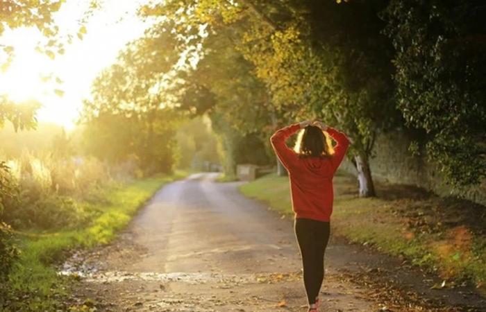 لصحة القلب والجهاز العصبي.. ركزوا على هذه العادات