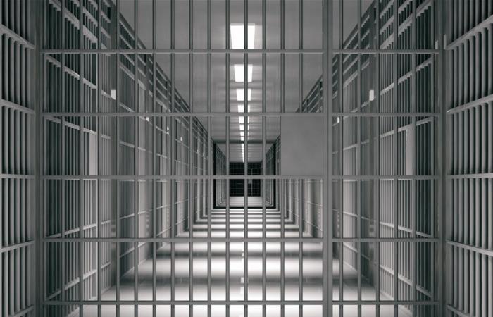 خلافات سابقة تقود إلى حكم بالسجن المشدد في مصر