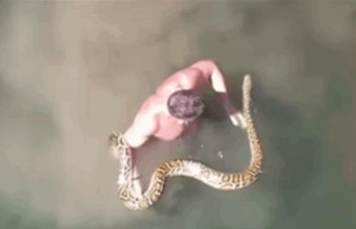 بالفيديو.. لبناني يسبح مع أكبر أفاعي العالم