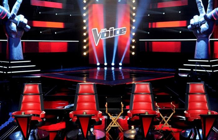 هذه المشتركة فازت بلقب The Voice.. وجدل بشأن تصويت الجمهور (فيديو)