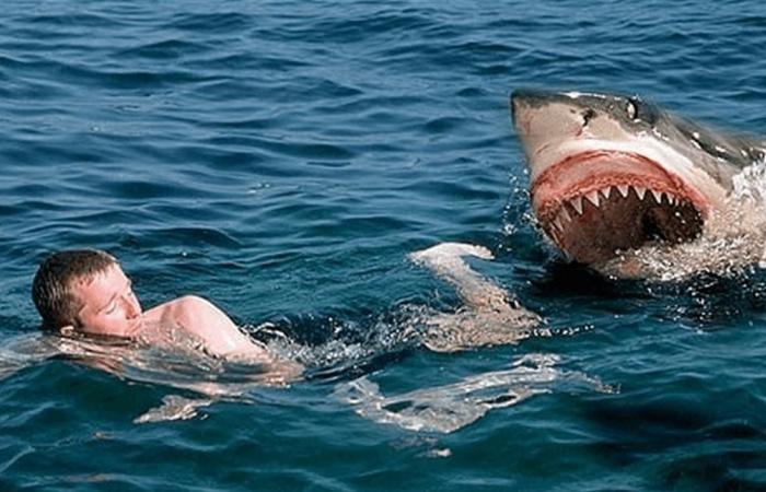 هاجمه القرش.. وفاة مأسوية لابن 12 عاما