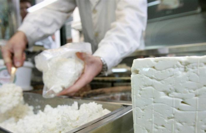 الجبن عالي الدسم.. هل فعلاً يقلل خطر الخرف؟