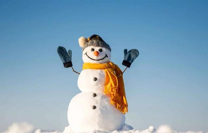 فيديو أشعل مواقع التواصل.. رجل الثلج ضحية الغضب