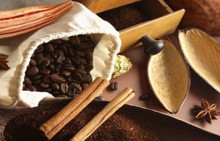 لتعزيز المناعة في فصل الشتاء.. إليكم أفضل التوابل