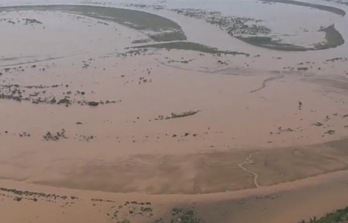 بسبب الأمطار والفيضانات.. التماسيح تجتاح شوارع هذه الدولة (فيديو)