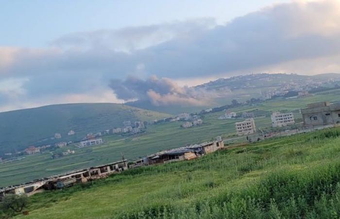 طائرات إسرائيلية ترشّ مبيدات على جنوب لبنان… والسبب؟