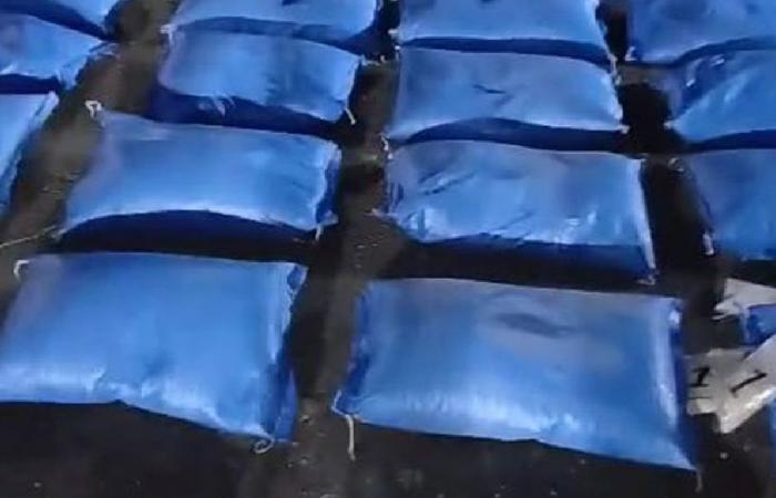 كبتاغون بالأطنان في بعلبك… ملايين الحبوب و73 كلغ مخدرات