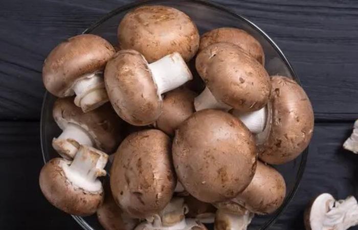 ينتشر بشكل غير مسبوق.. وفاة 3 أشخاص بسبب الفطر السام