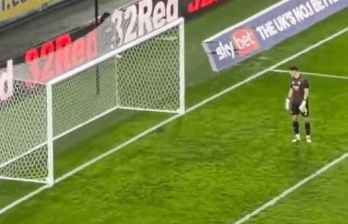 بالفيديو.. سنجاب يوقف المباراة