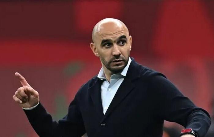 رسمياً... وليد الركراكي يودع المنتخب المغربي باستقالة مفاجئة