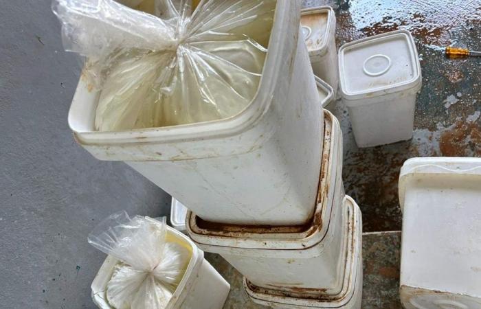 ضبط كمية من الأجبان الفاسدة (فيديو)