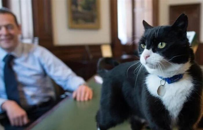 وفاة كبير صائدي الفئران السابق في بريطانيا عن 12 عاماً