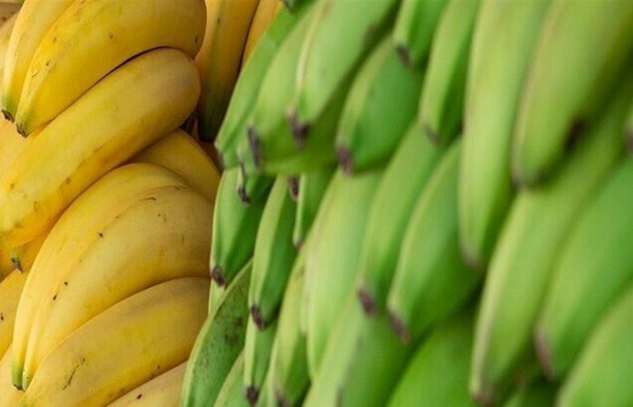 من عليه تجنب تناول الموز؟