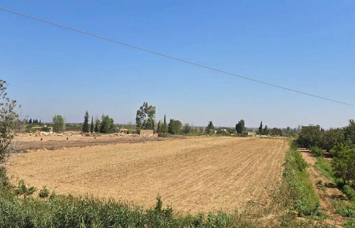 عناصر مسلّحة سورية توغّلت إلى حوش السيد علي!