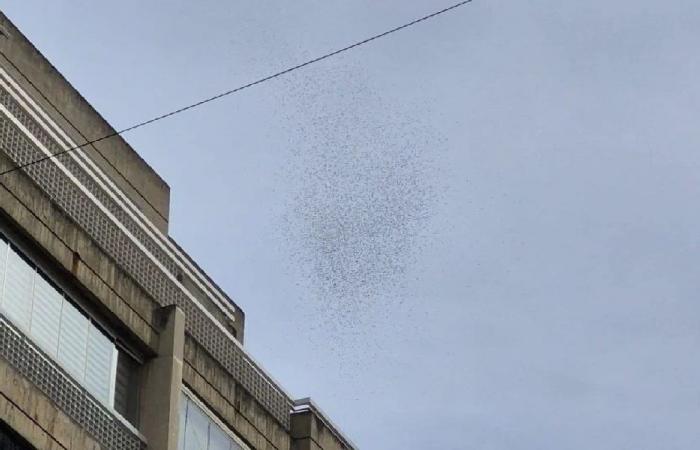 مناشير إسرائيلية فوق بيروت: لبنان هو قرارك مش قرار غيرك