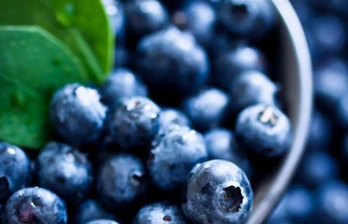 هذا ما يحدث لجسمك عند تناول التوت الأزرق يوميًا