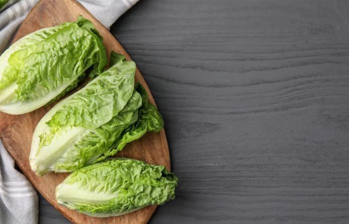 اكتشف فوائد الخس لصحة القلب والهضم