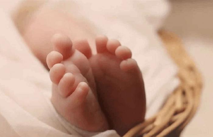 وفاة رضيعة عمرها 5 أيام.. بسبب كلب