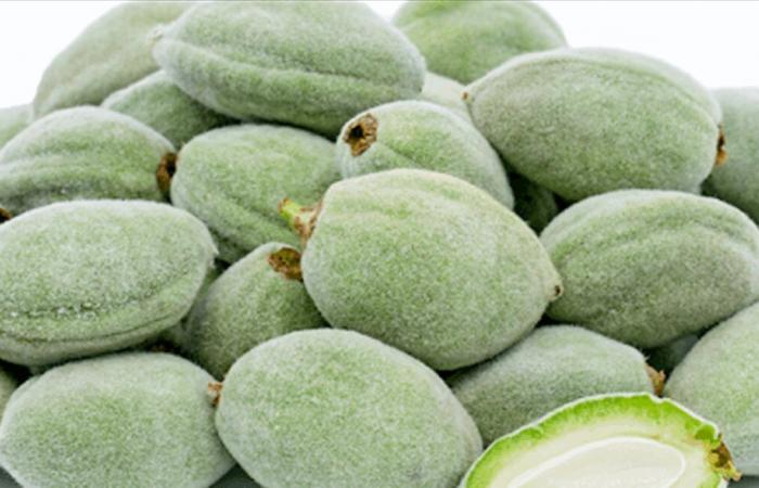 وجبة خفيفة صحية.. لماذا يجب تناول اللوز الأخضر؟