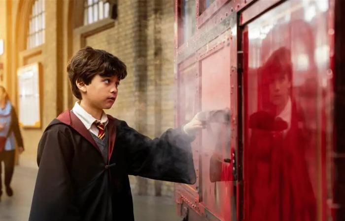 جدل واسع حول مسلسل هاري بوتر الجديد