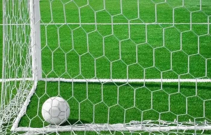 حارس مرمى تصدى لتسديدة بصدره.. فسقط أرضاً وفارق الحياة (فيديو)