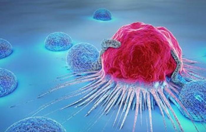 دراسات حديثة: الغذاء الصحي يساهم في الوقاية من السرطان