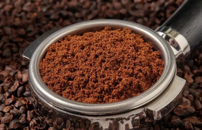 قبل أن تقرر.. هل شربت قهوتك؟ اليكم كيف تتحكم المنبهات في خياراتك