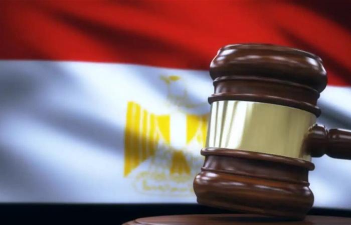 "شراء أطفال" من أجل الميراث.. فضيحة نسب مزور تهزّ المحاكم المصرية