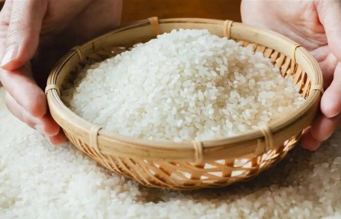 الأرز البني يتصدر القائمة.. إليكم أنواع الأرز الأكثر احتواء على الزرنيخ