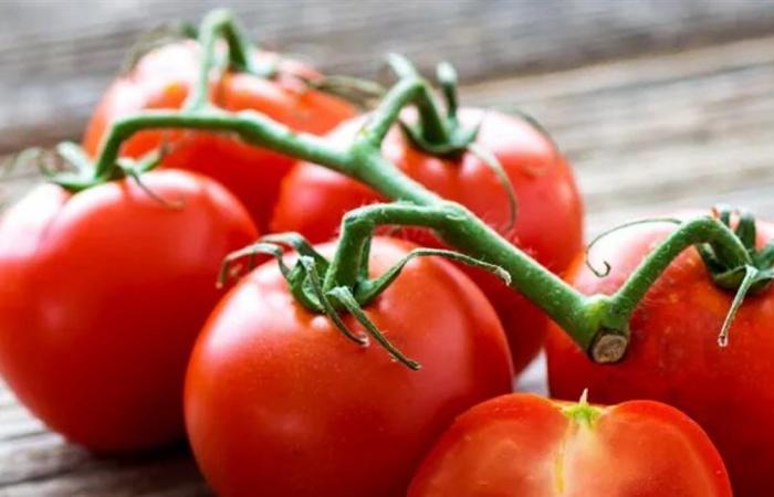 البندورة.. سر الصحة والجمال في طبقك اليومي