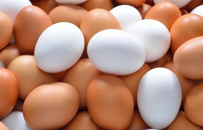 البيض.. غذاء صحي وفوائد متعددة للجسم