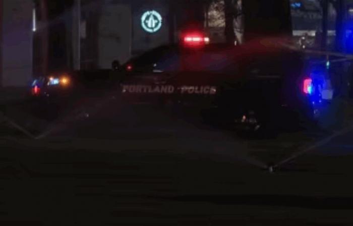 كانت تسير بعكس الاتجاه وبسرعة عالية.. سيارة سقطت في النهر