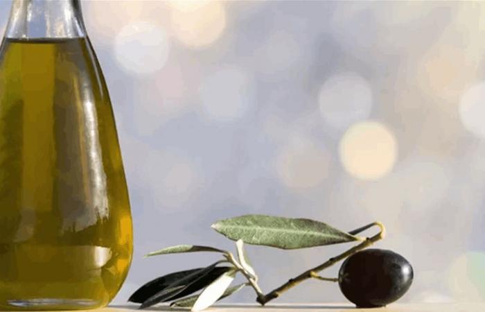كيف يؤثر زيت الزيتون على الدماغ؟