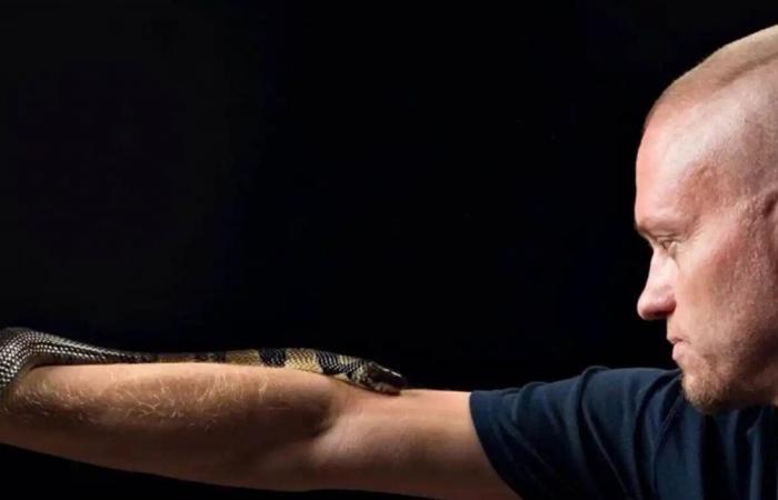 تجربة خطيرة.. رجل أميركي يتعرض لأكثر من 200 لدغة أفعى