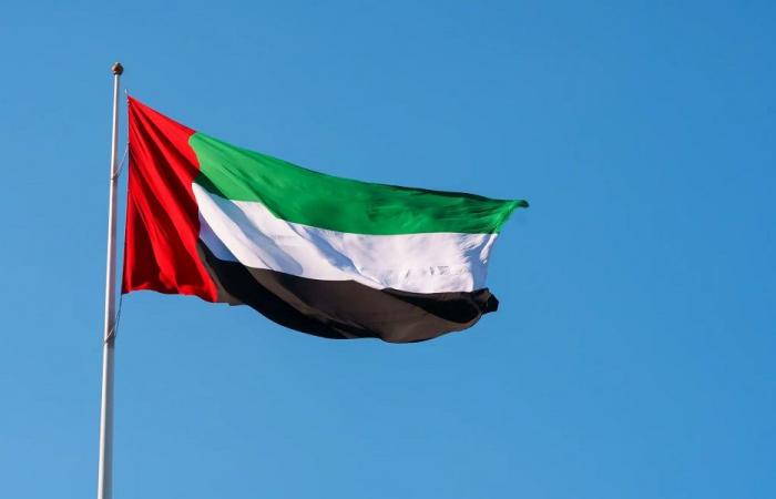 الإمارات: تعطيل الممرات البحرية ابتزاز وقرصنة