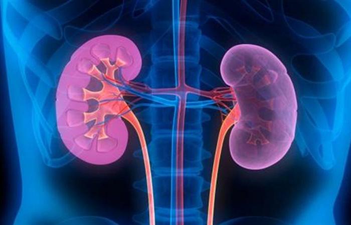 عادات يومية للوقاية من مرض الكلى المزمن
