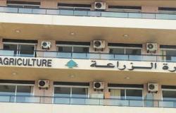 “الزراعة”: تقدم الحملة الوطنية للتحصين ضد داء الحمى القلاعية