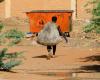 منحة ألمانية لدعم برامج القضاء على الفقر في السودان