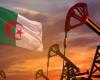 إسبانيا : لا نخشى قطع الجزائر لإمدادات الغاز
