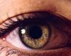 6 مخاطر تُهدّد العين في حال ارتفاع ضغط الدم... ما هي؟
