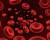 توصيات هامّة لمرضى فقر الدم خلال الصوم