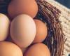 نصائح هامة عند شراء أفضل البيض!