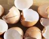 علاج العظام ممكن بقشور البيض؟