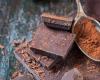 هل يساعد الشوكولا في مكافحة التغير المناخي؟