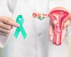 سرطان عنق الرحم... من هم النساء الأكثر عرضة للإصابة؟
